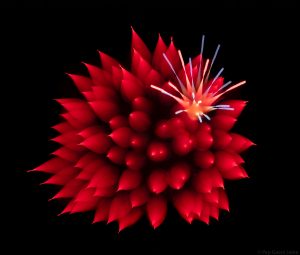 Fireworks (82)
